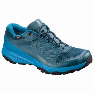 Dámske Bežecké Topánky Salomon XA DISCOVERY GTX W Modre,243-65316